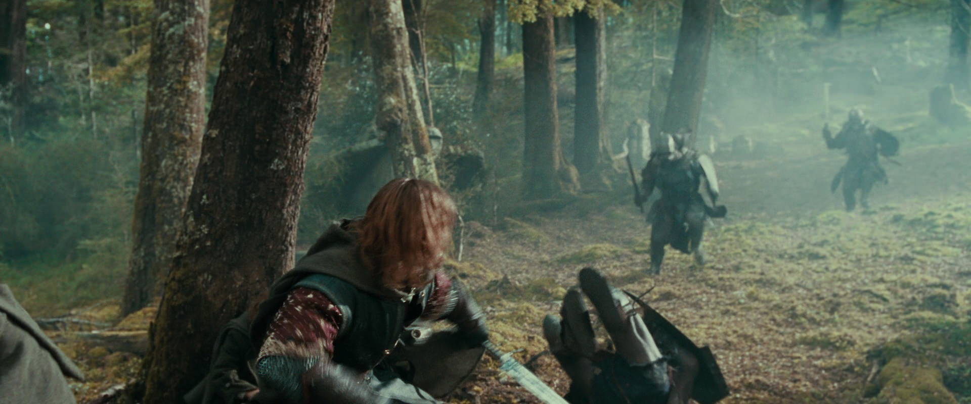 The Lord of the Rings: The Fellowship of the Ring (2001) screencap 22182