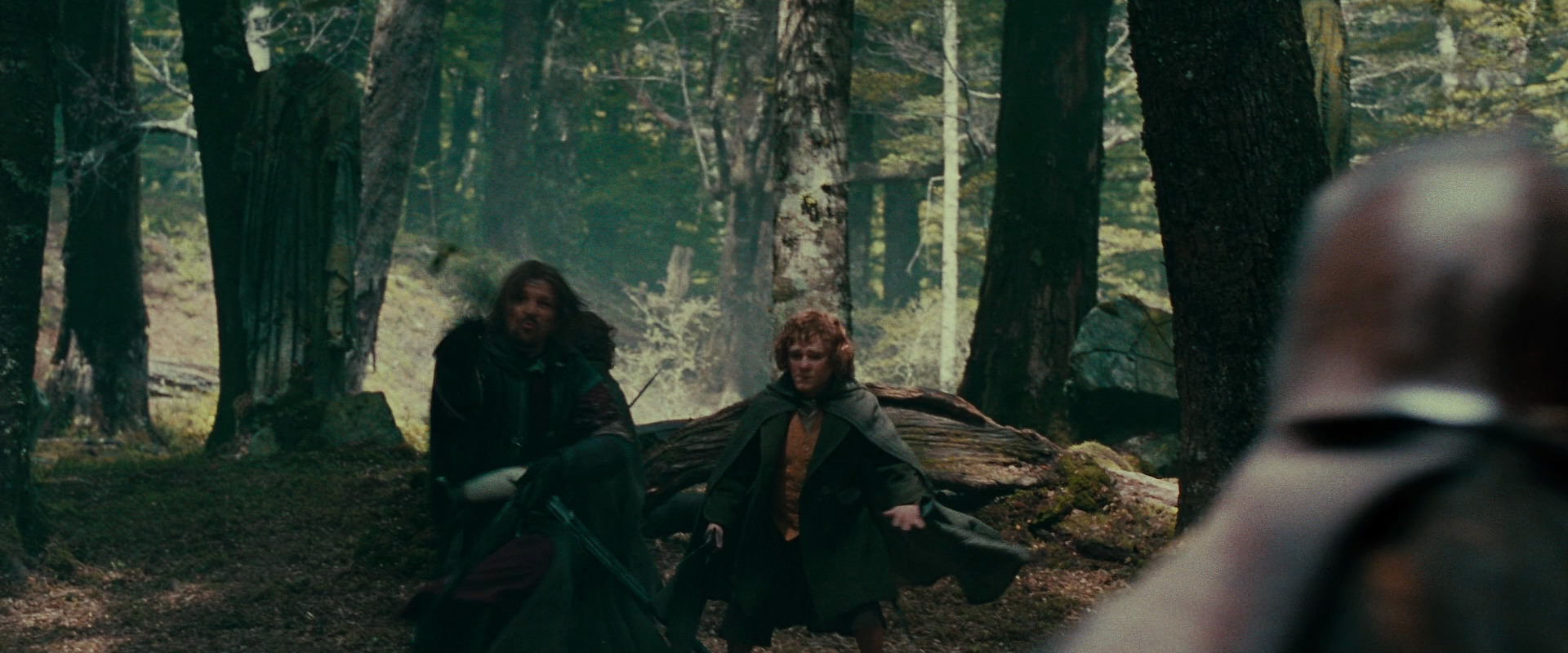 The Lord of the Rings: The Fellowship of the Ring (2001) movie still 22183