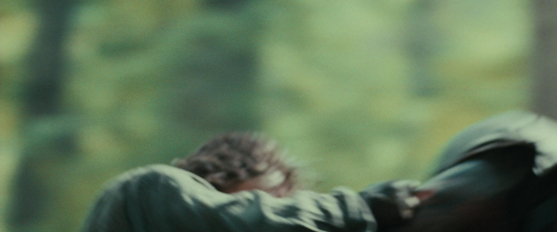 The Lord of the Rings: The Fellowship of the Ring (2001) movie still 22186