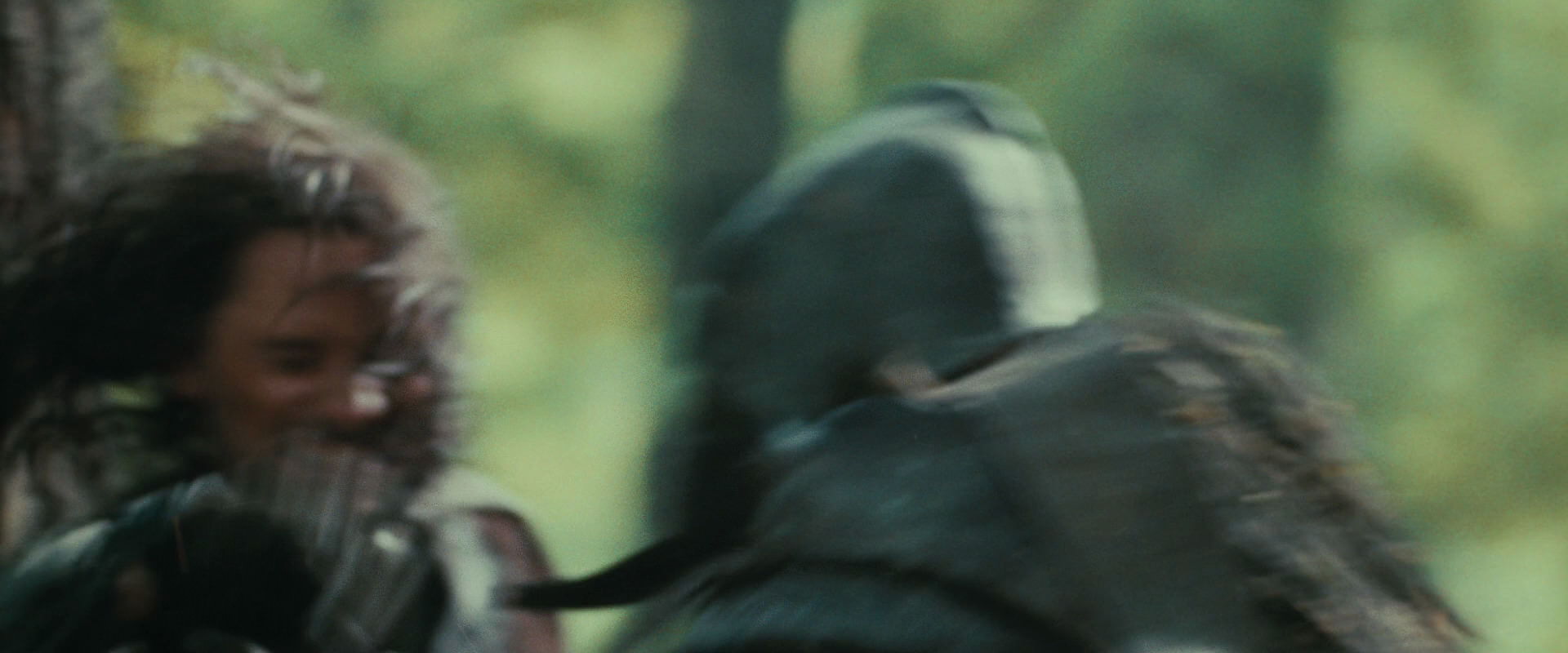 The Lord of the Rings: The Fellowship of the Ring (2001) HD screenshot 22187