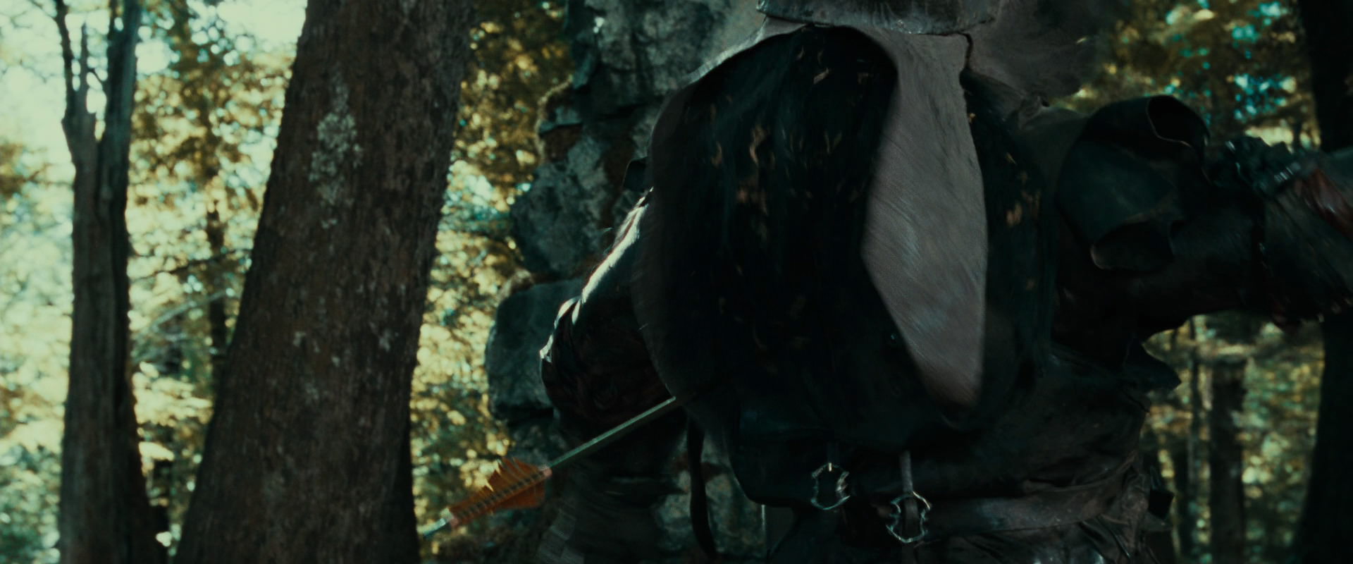 The Lord of the Rings: The Fellowship of the Ring (2001) screencap 22215