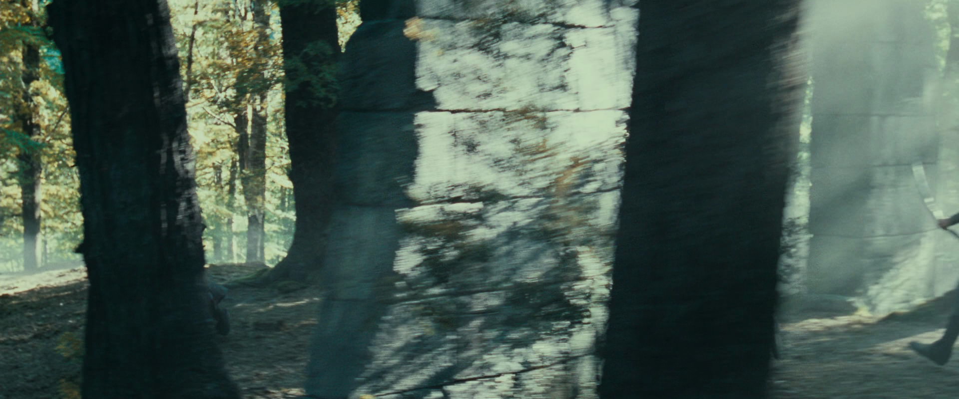 The Lord of the Rings: The Fellowship of the Ring (2001) screencap 22230