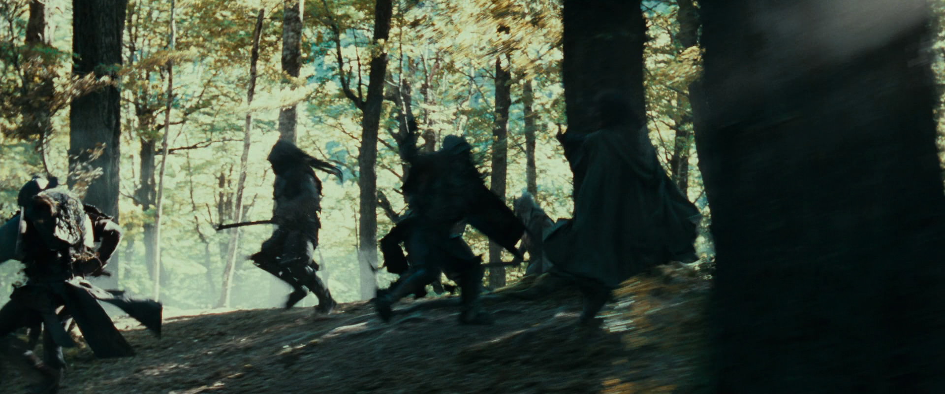 The Lord of the Rings: The Fellowship of the Ring (2001) screencap 22233