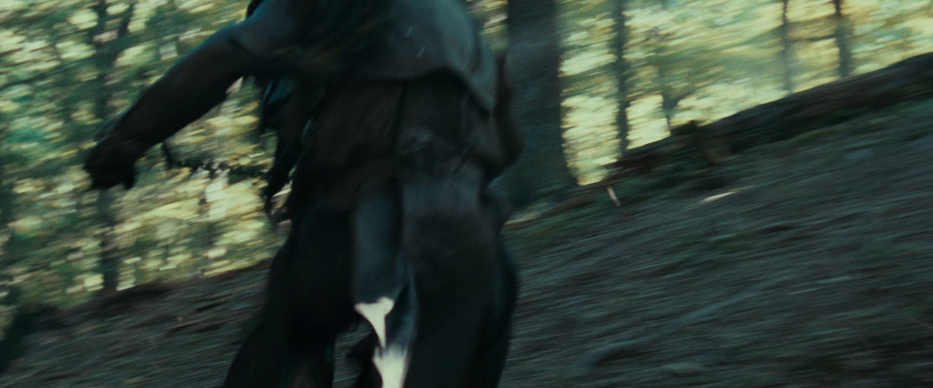 The Lord of the Rings: The Fellowship of the Ring (2001) movie still 22240