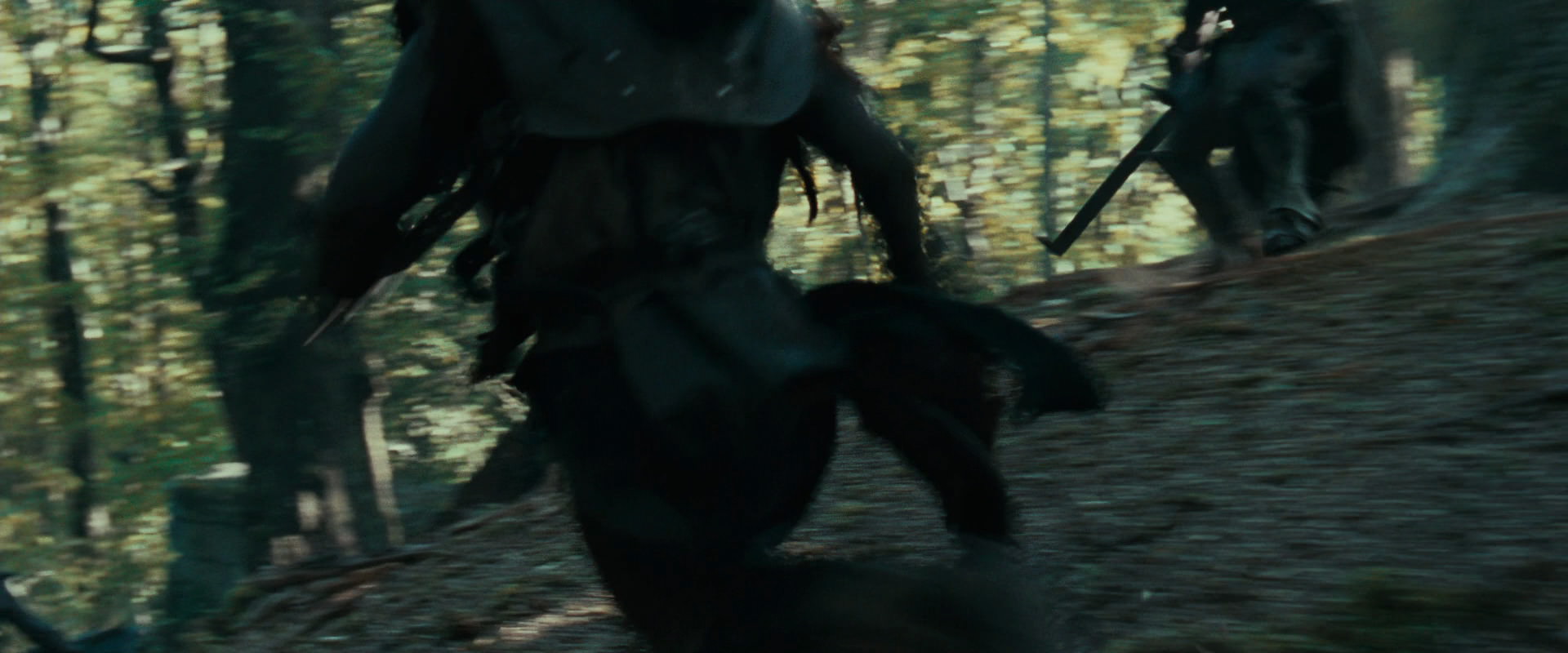 The Lord of the Rings: The Fellowship of the Ring (2001) HD screenshot 22241