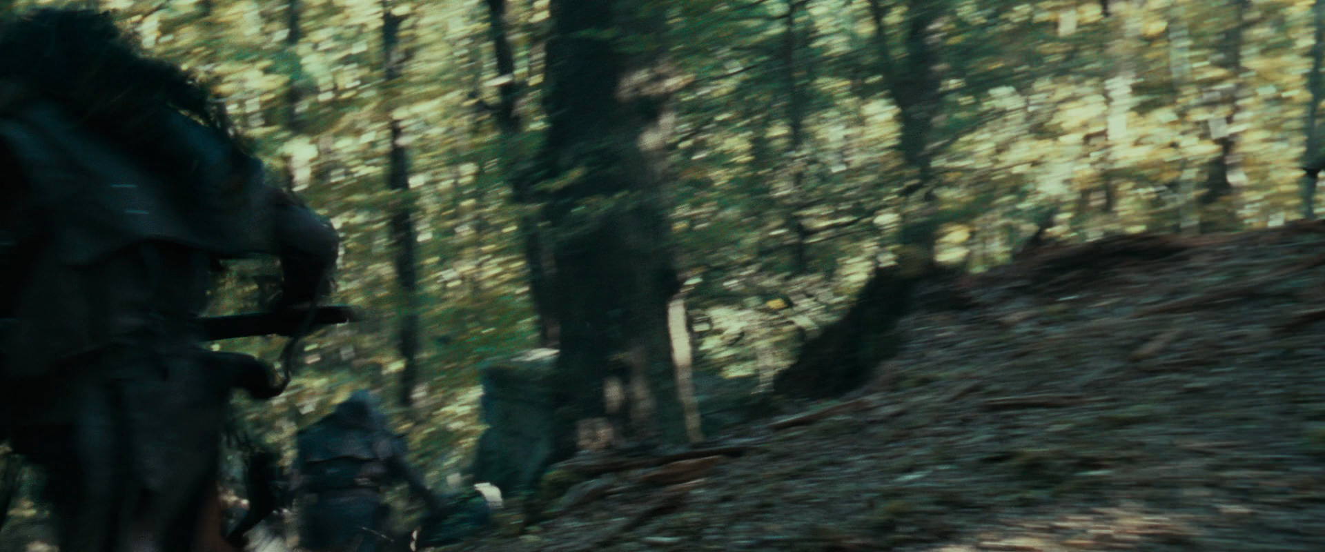 The Lord of the Rings: The Fellowship of the Ring (2001) screencap 22242