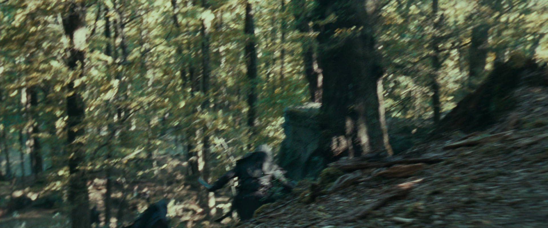 The Lord of the Rings: The Fellowship of the Ring (2001) movie still 22243