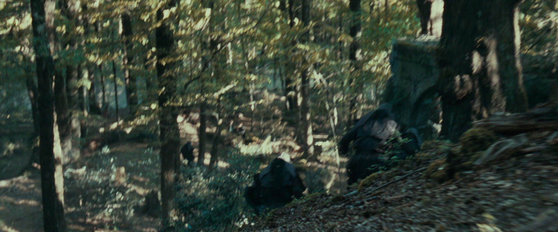 The Lord of the Rings: The Fellowship of the Ring (2001) HD screenshot 22244