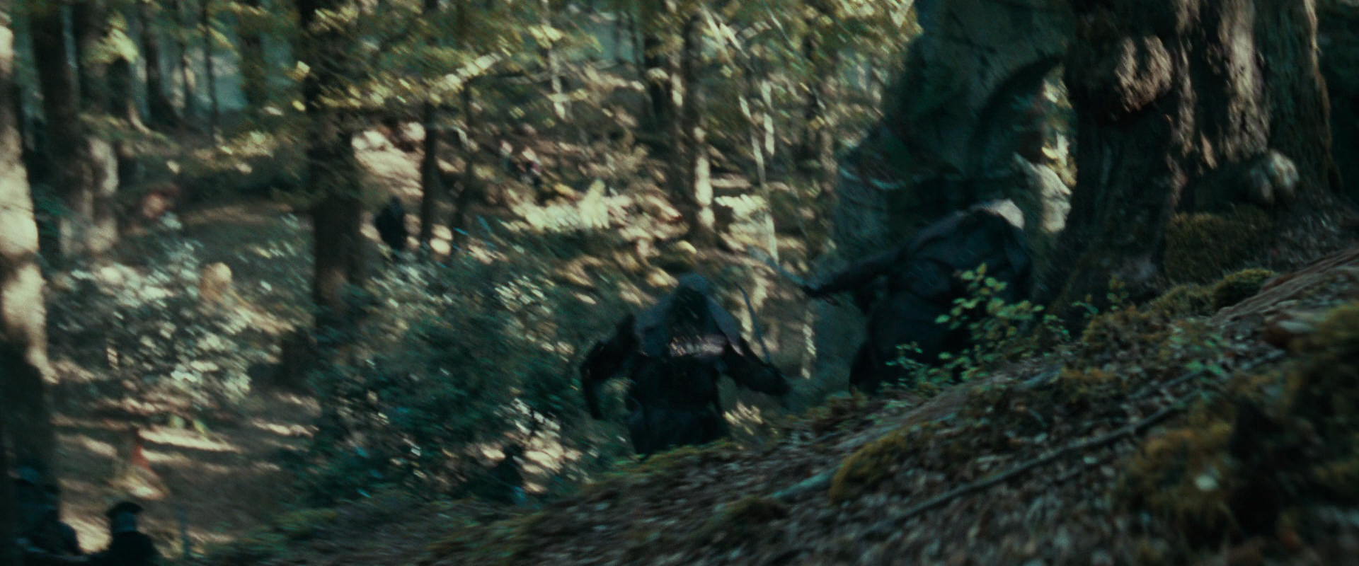 The Lord of the Rings: The Fellowship of the Ring (2001) screencap 22245