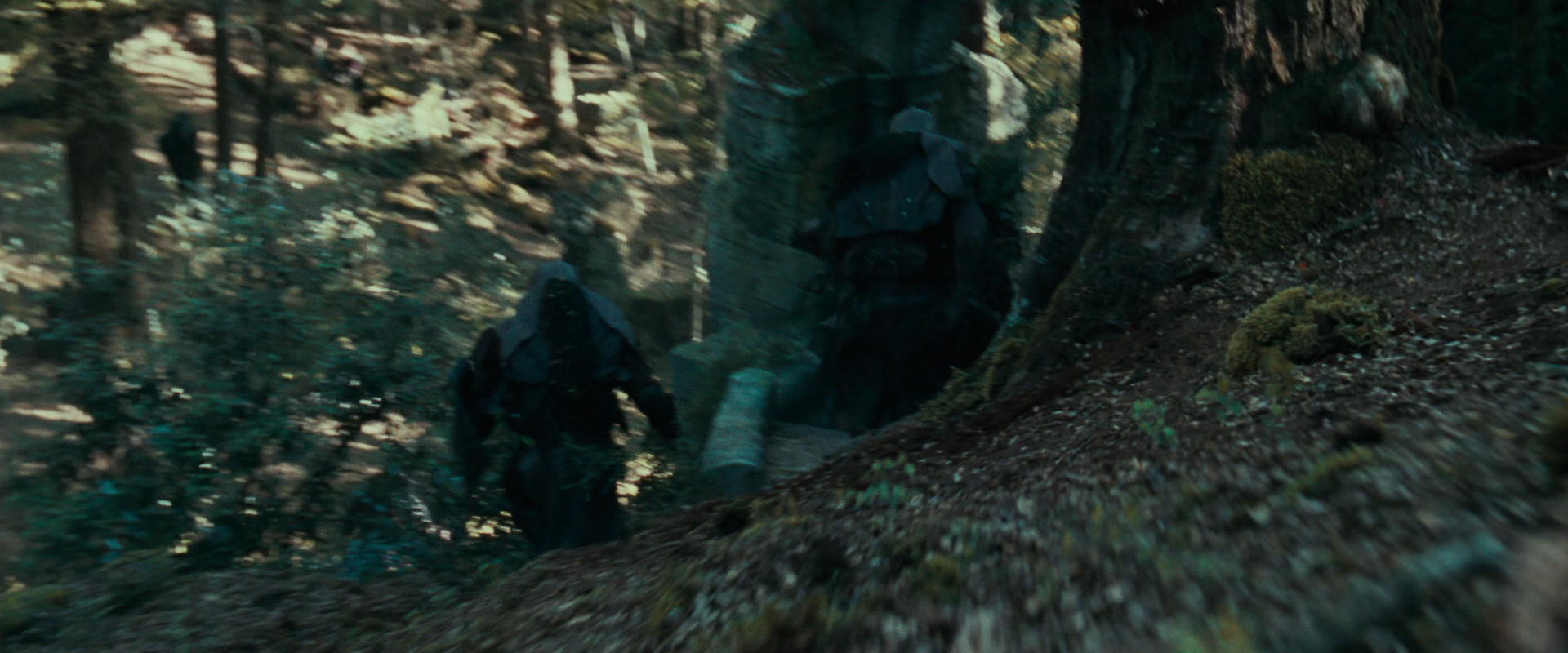 The Lord of the Rings: The Fellowship of the Ring (2001) movie still 22246