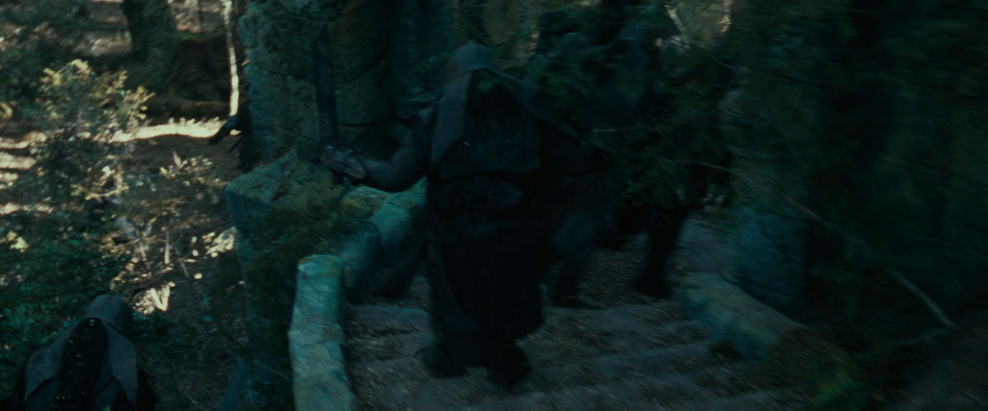 The Lord of the Rings: The Fellowship of the Ring (2001) movie still 22249
