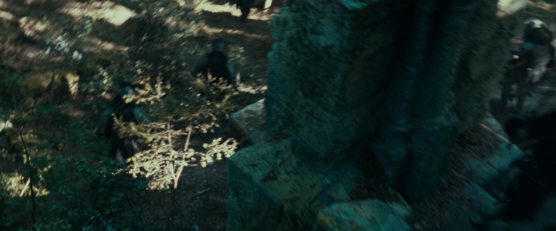 The Lord of the Rings: The Fellowship of the Ring (2001) screencap 22251