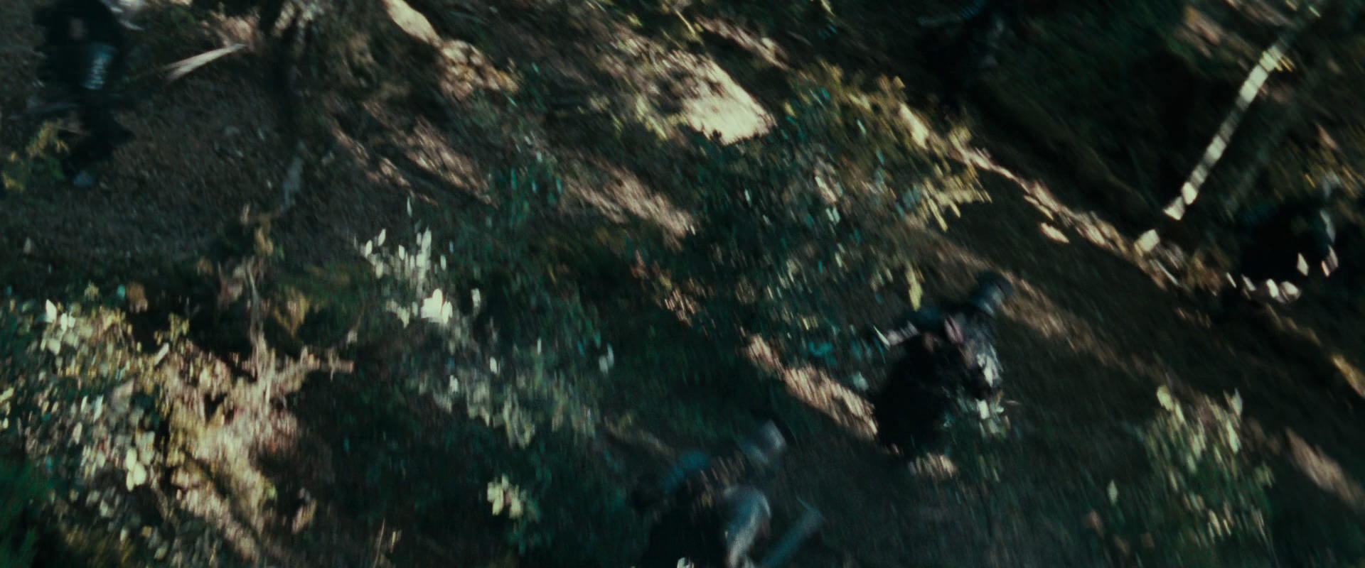 The Lord of the Rings: The Fellowship of the Ring (2001) HD screenshot 22253