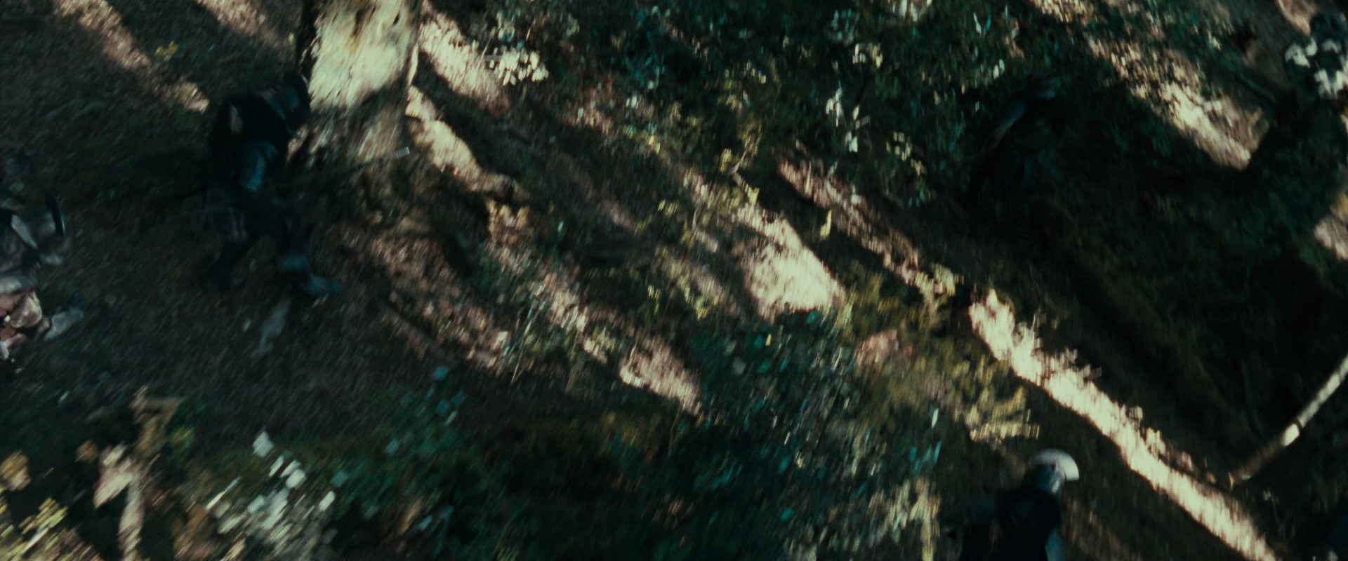 The Lord of the Rings: The Fellowship of the Ring (2001) screencap 22254