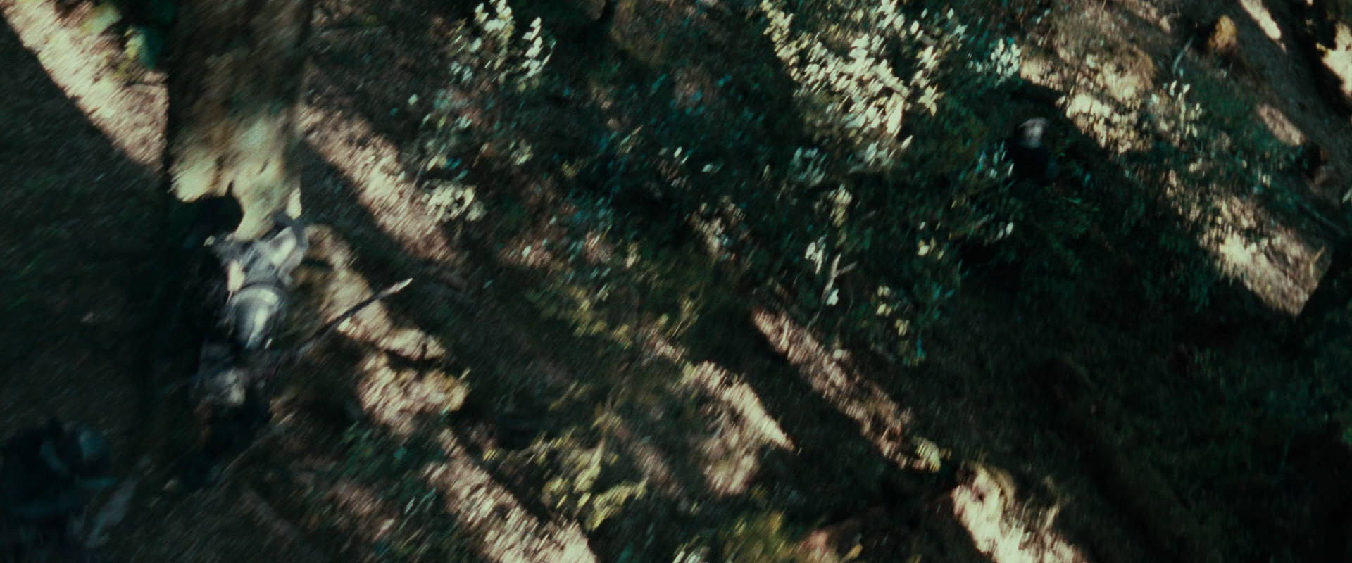 The Lord of the Rings: The Fellowship of the Ring (2001) movie still 22255