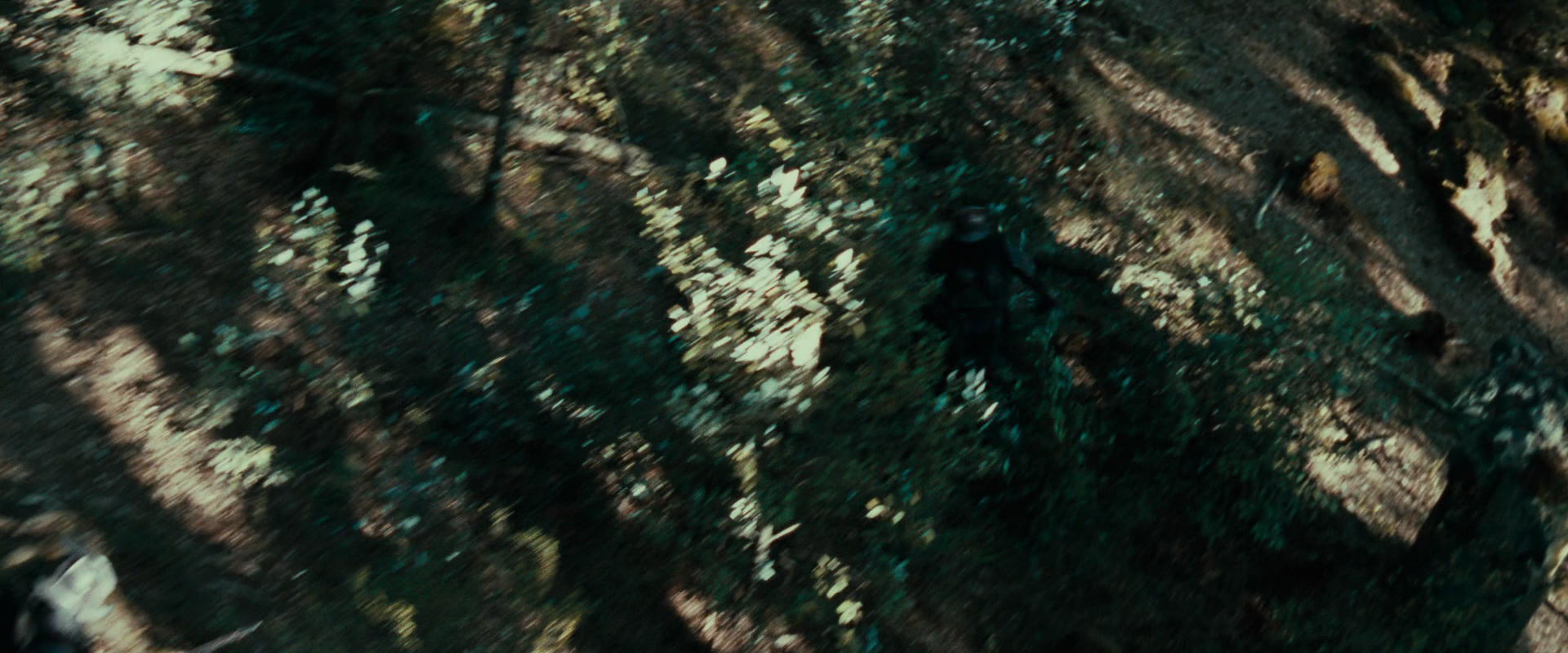 The Lord of the Rings: The Fellowship of the Ring (2001) HD screenshot 22256