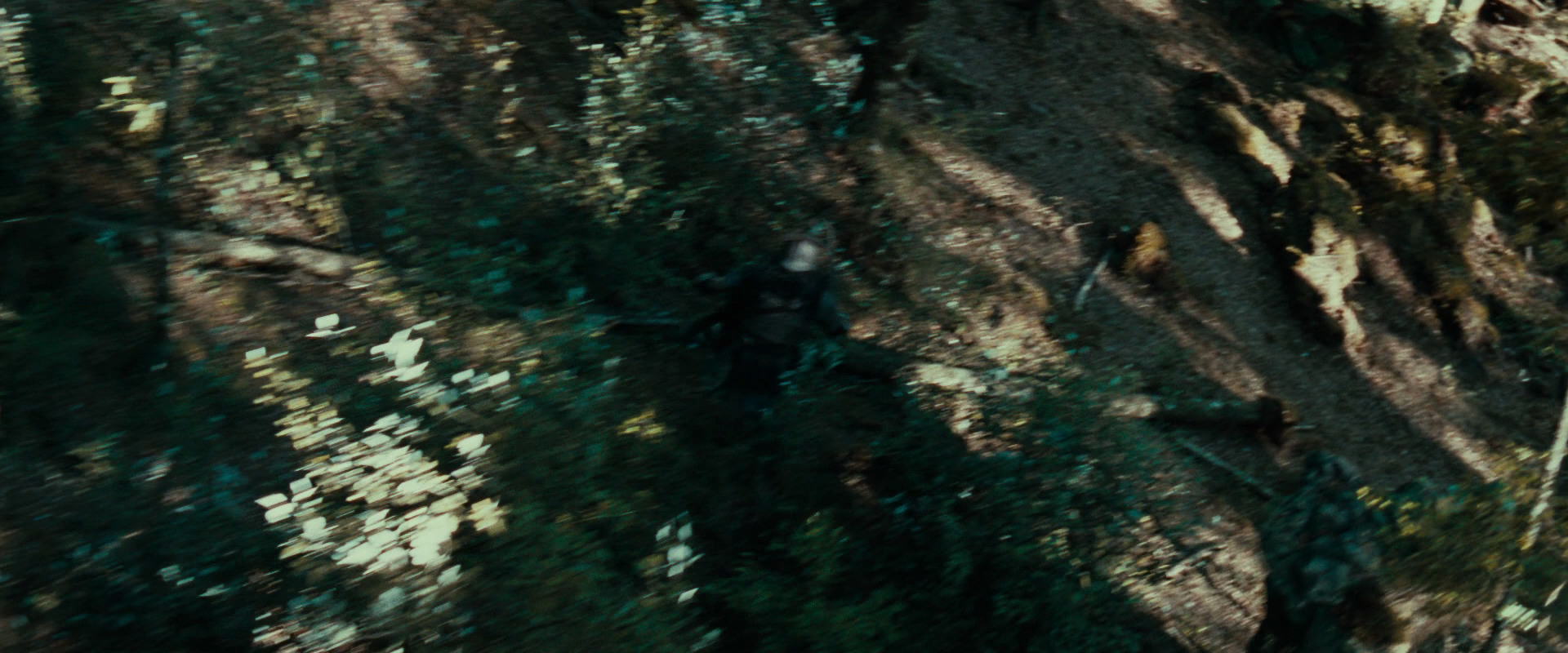 The Lord of the Rings: The Fellowship of the Ring (2001) screencap 22257