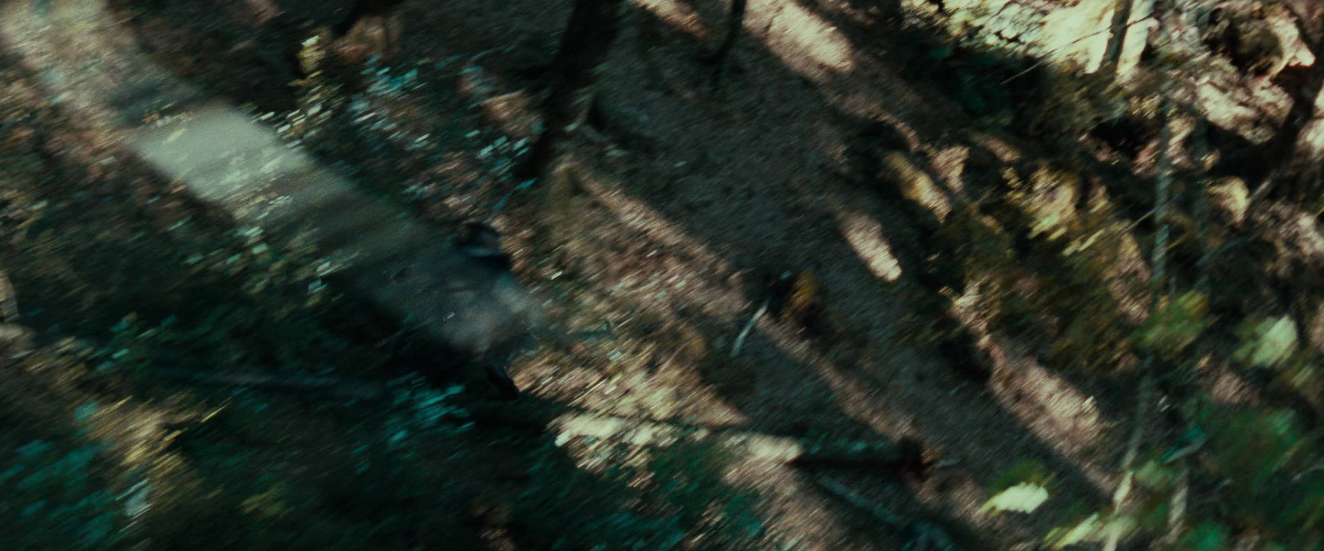 The Lord of the Rings: The Fellowship of the Ring (2001) movie still 22258