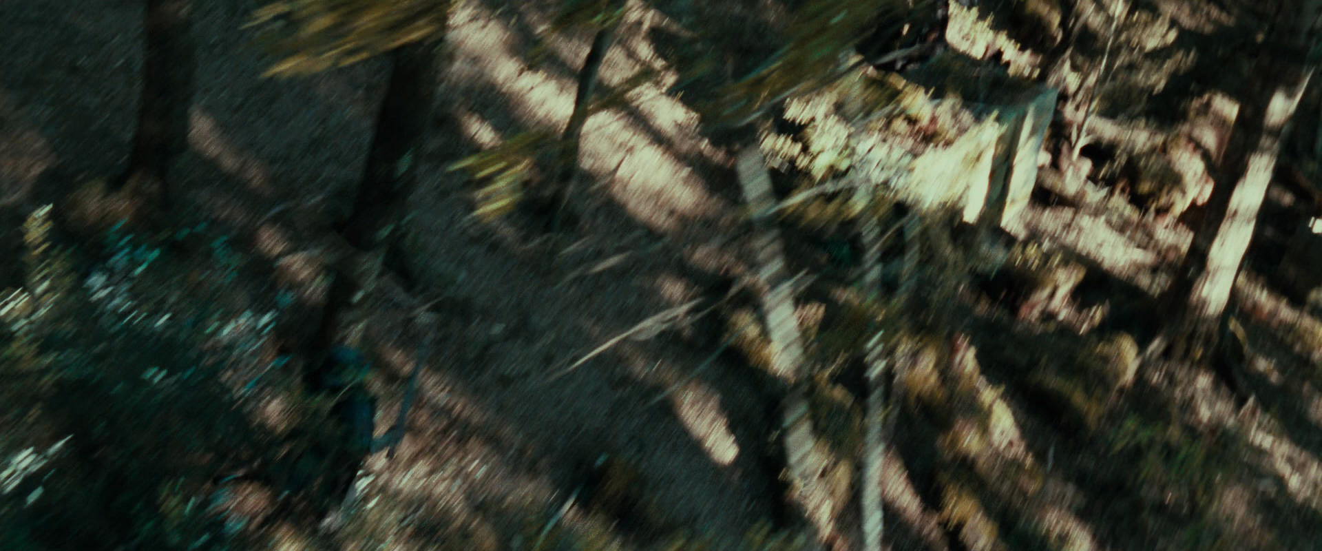 The Lord of the Rings: The Fellowship of the Ring (2001) HD screenshot 22259