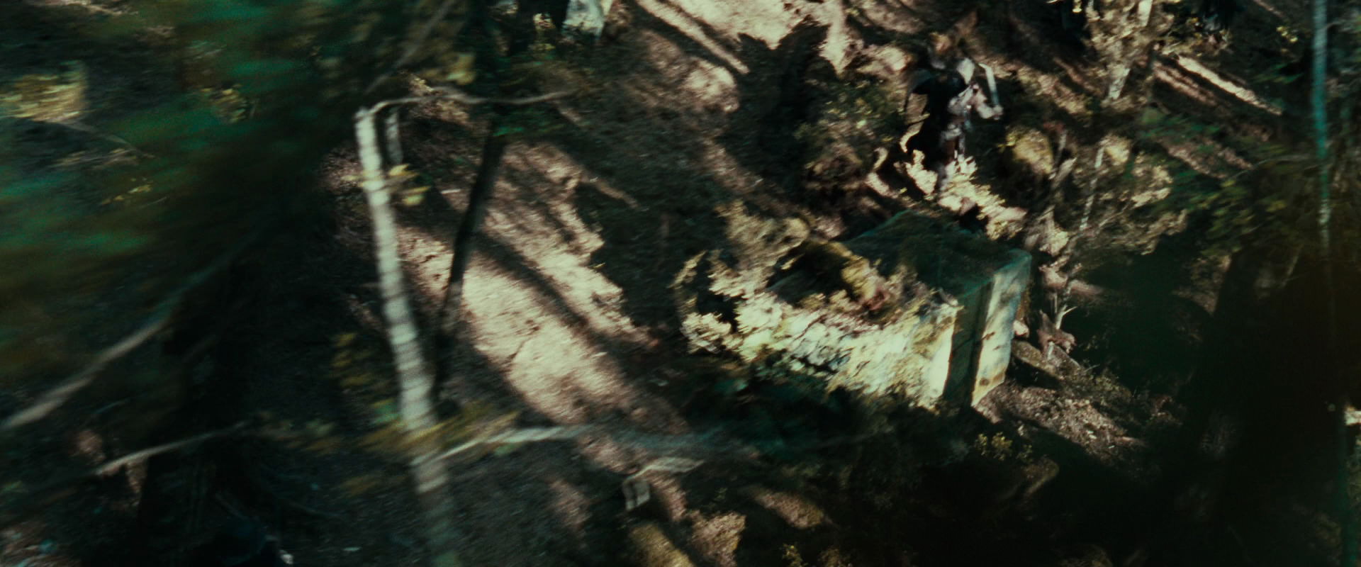 The Lord of the Rings: The Fellowship of the Ring (2001) screencap 22260
