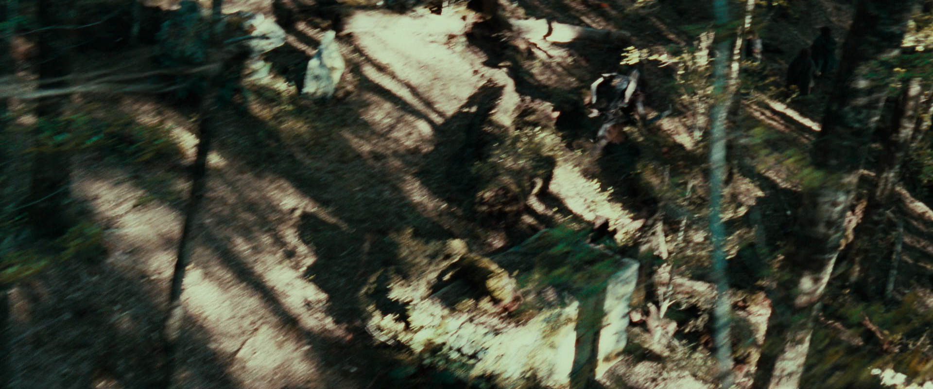 The Lord of the Rings: The Fellowship of the Ring (2001) movie still 22261