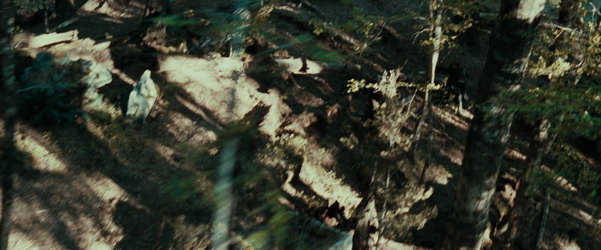 The Lord of the Rings: The Fellowship of the Ring (2001) HD screenshot 22262
