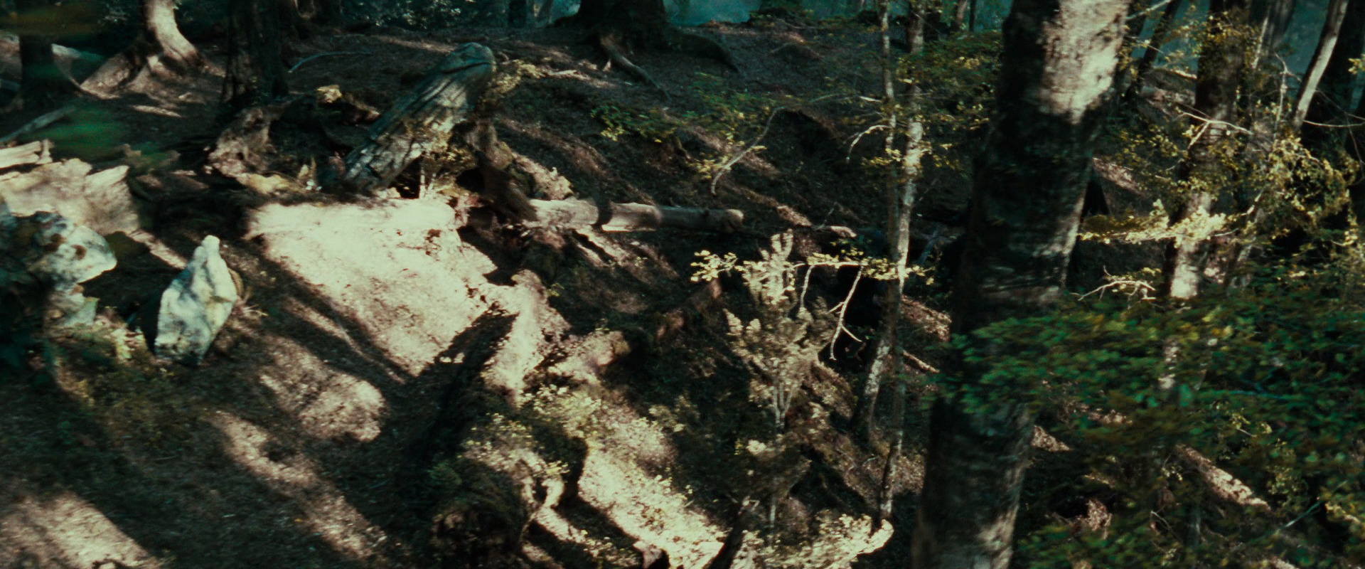 The Lord of the Rings: The Fellowship of the Ring (2001) screencap 22263