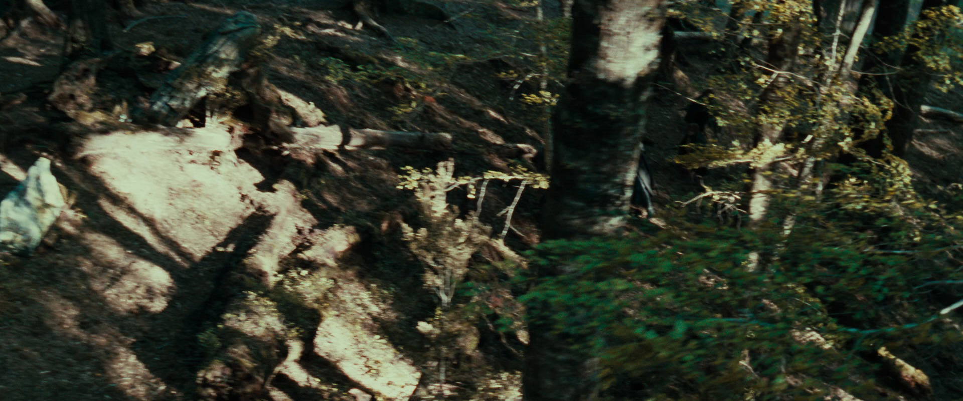 The Lord of the Rings: The Fellowship of the Ring (2001) movie still 22264