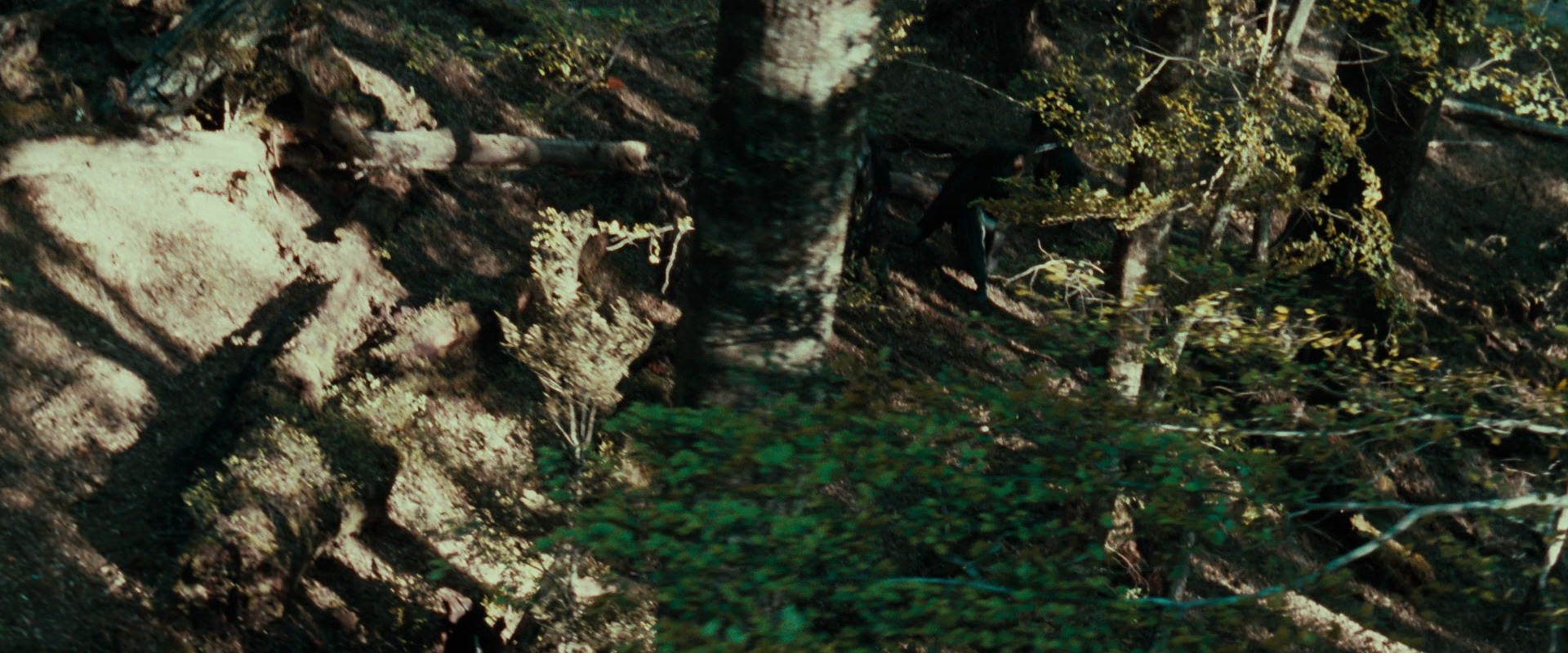 The Lord of the Rings: The Fellowship of the Ring (2001) HD screenshot 22265