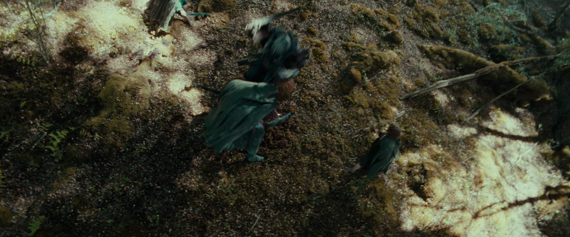 The Lord of the Rings: The Fellowship of the Ring (2001) screencap 22266