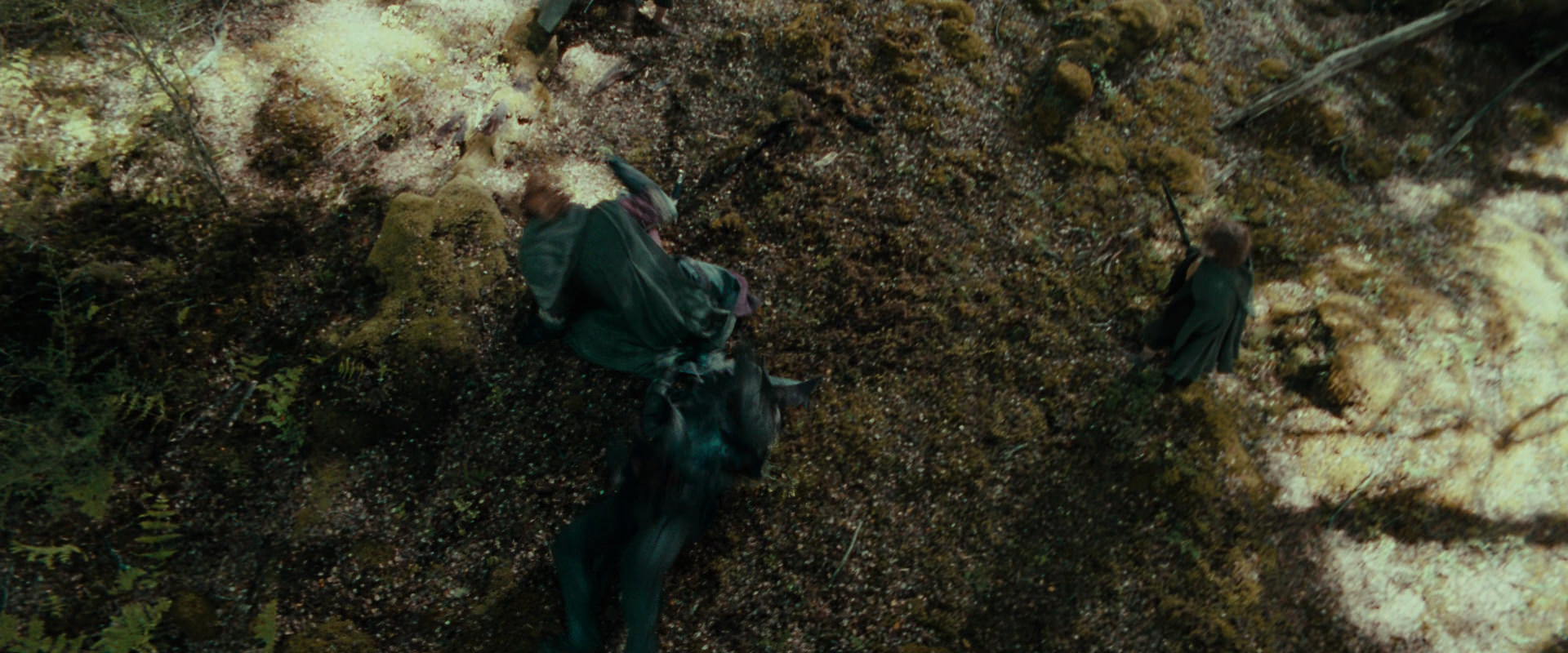 The Lord of the Rings: The Fellowship of the Ring (2001) HD screenshot 22268