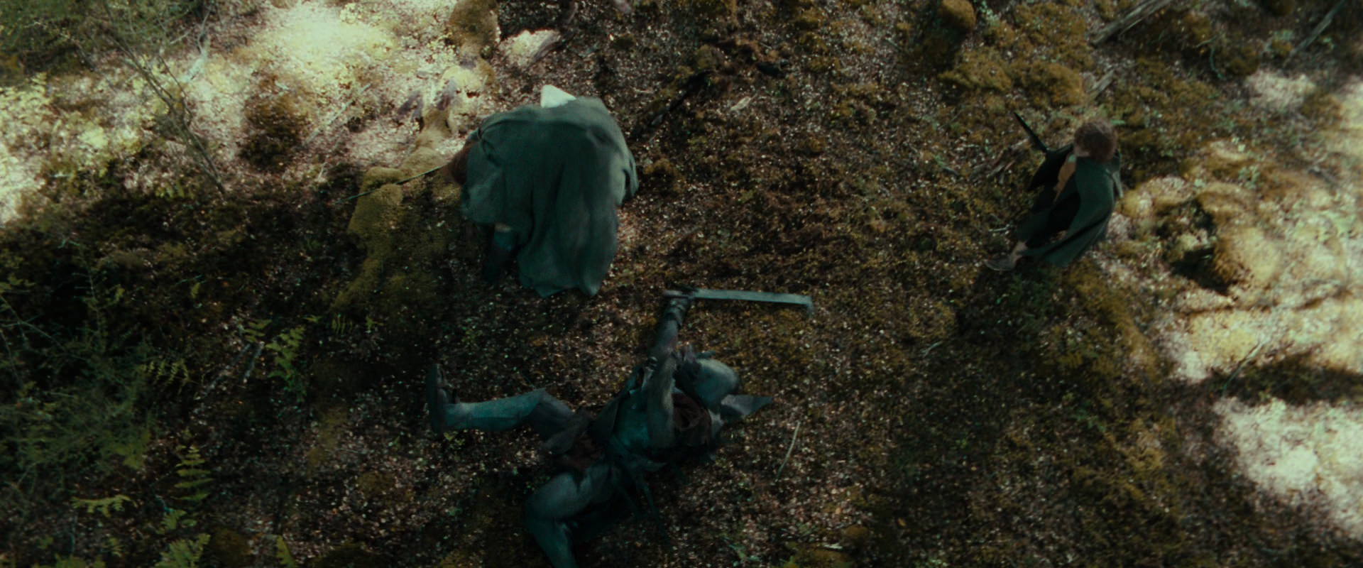 The Lord of the Rings: The Fellowship of the Ring (2001) screencap 22269