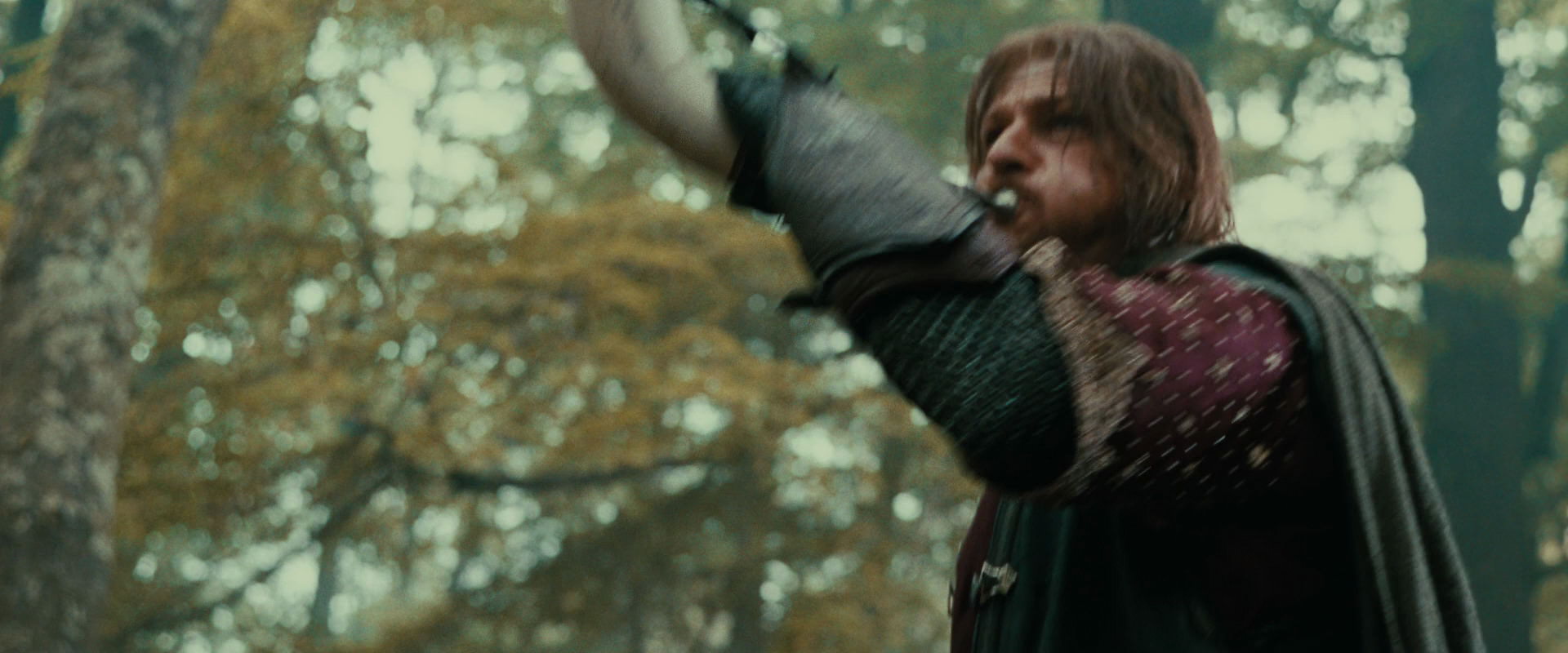 The Lord of the Rings: The Fellowship of the Ring (2001) movie still 22273