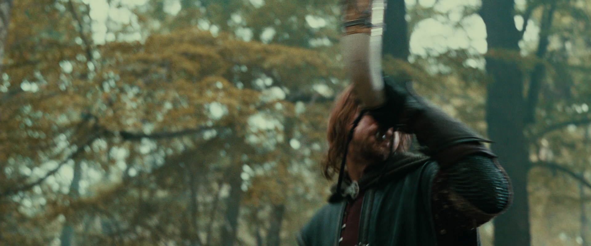 The Lord of the Rings: The Fellowship of the Ring (2001) screencap 22275