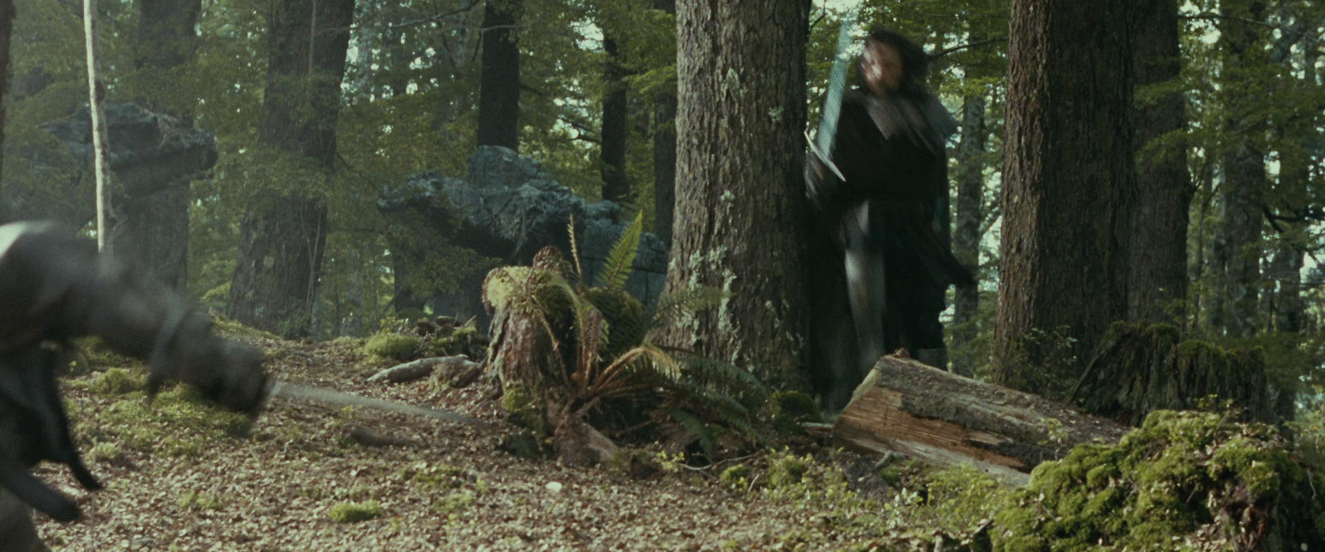 The Lord of the Rings: The Fellowship of the Ring (2001) movie still 22276