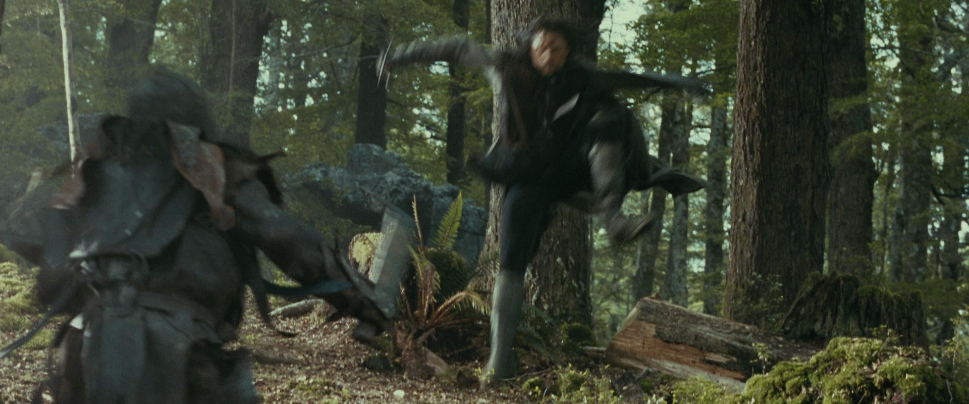 The Lord of the Rings: The Fellowship of the Ring (2001) HD screenshot 22277