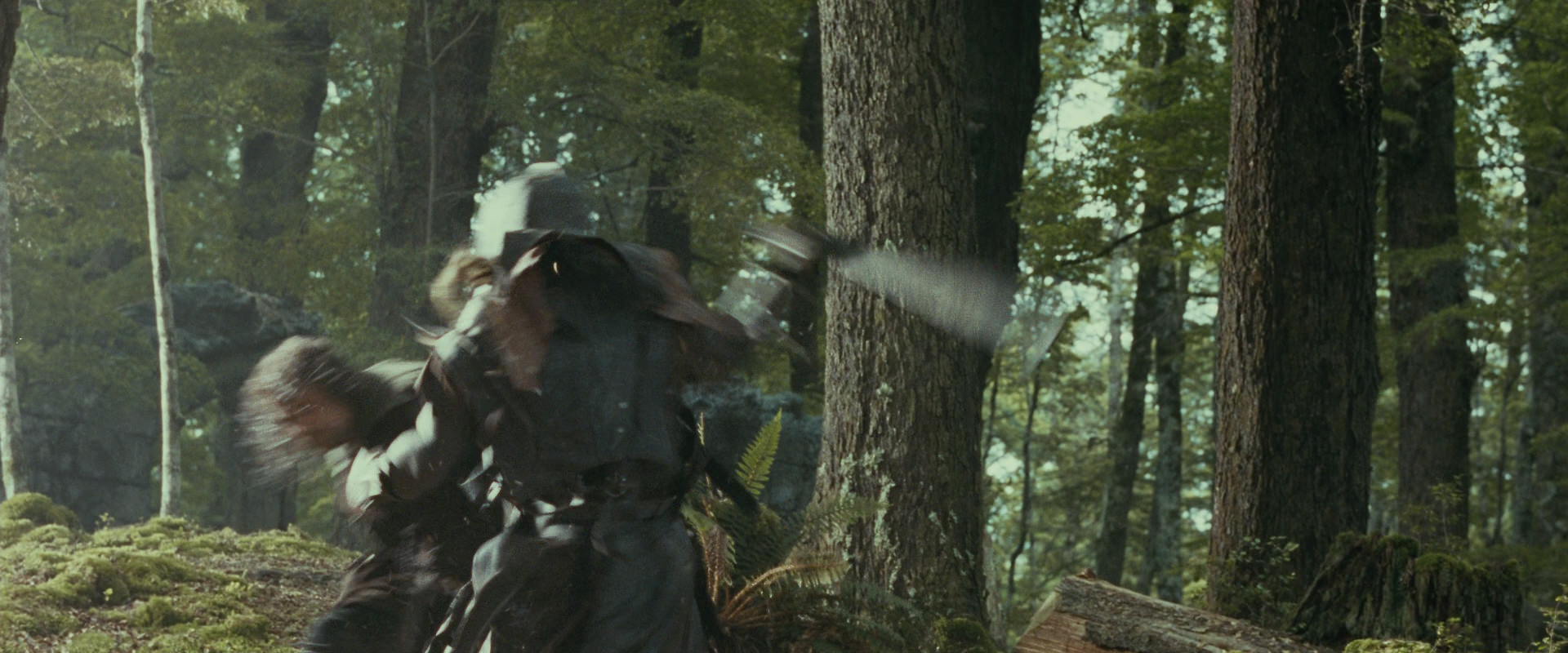 The Lord of the Rings: The Fellowship of the Ring (2001) movie still 22279
