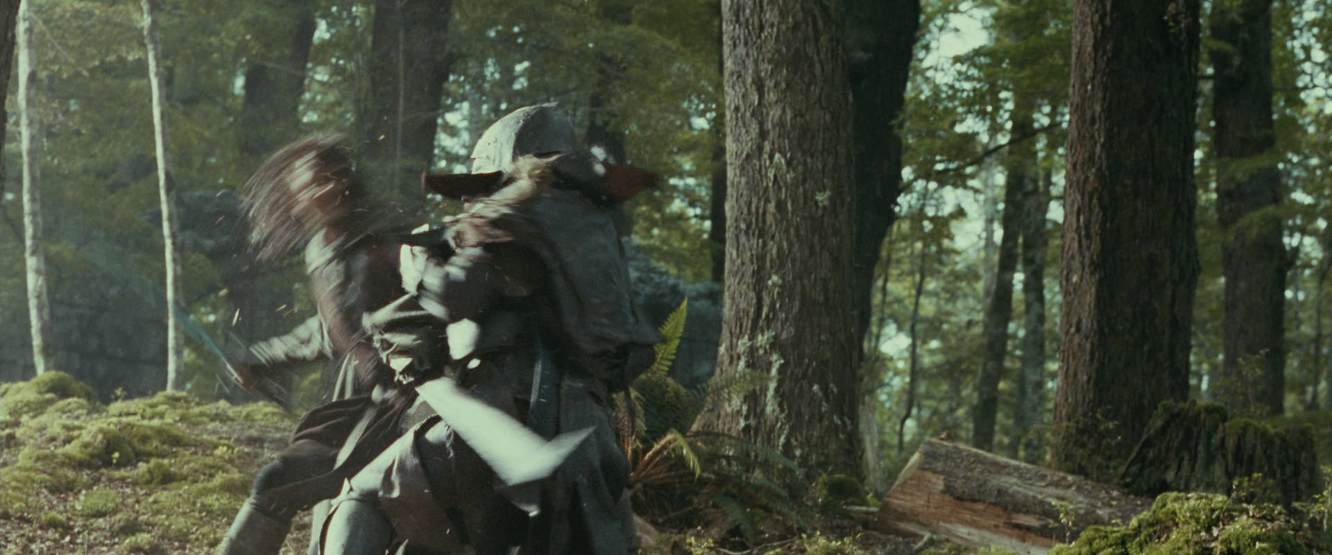 The Lord of the Rings: The Fellowship of the Ring (2001) HD screenshot 22280