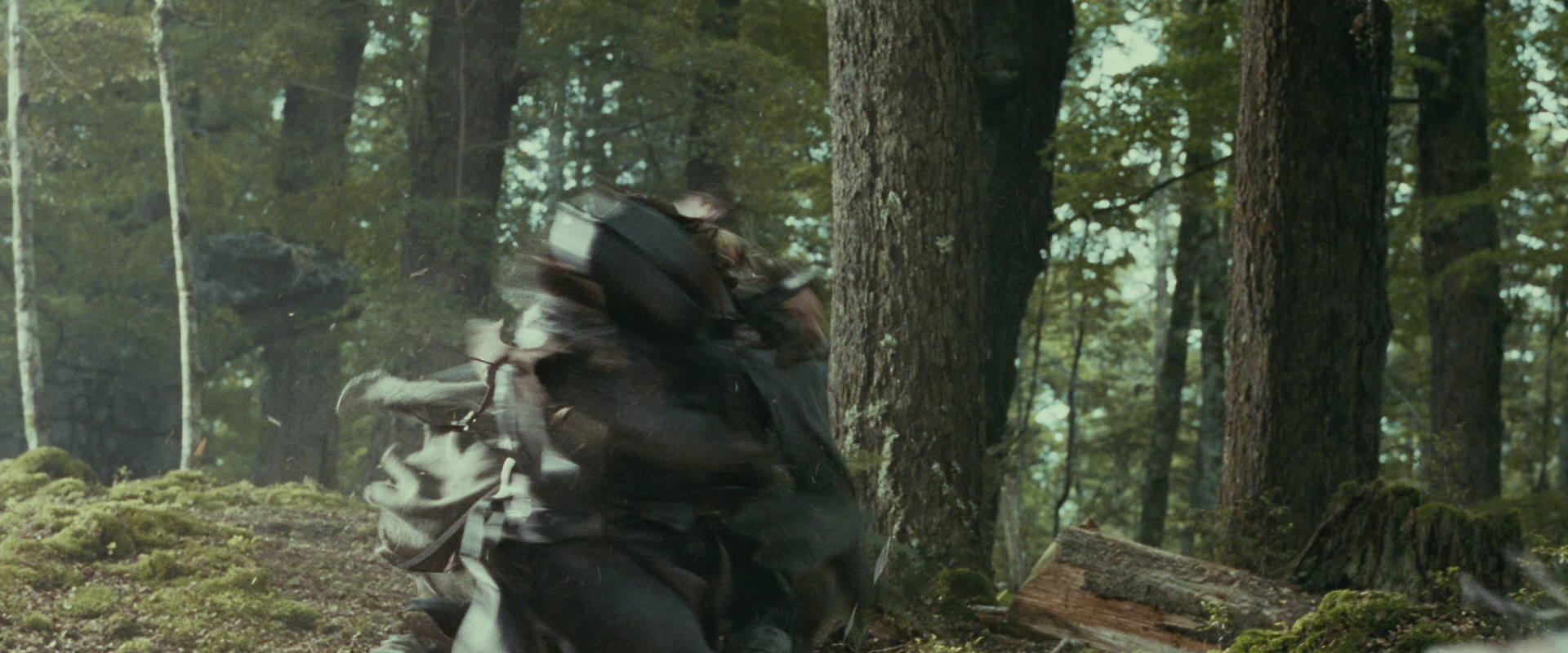 The Lord of the Rings: The Fellowship of the Ring (2001) screencap 22281
