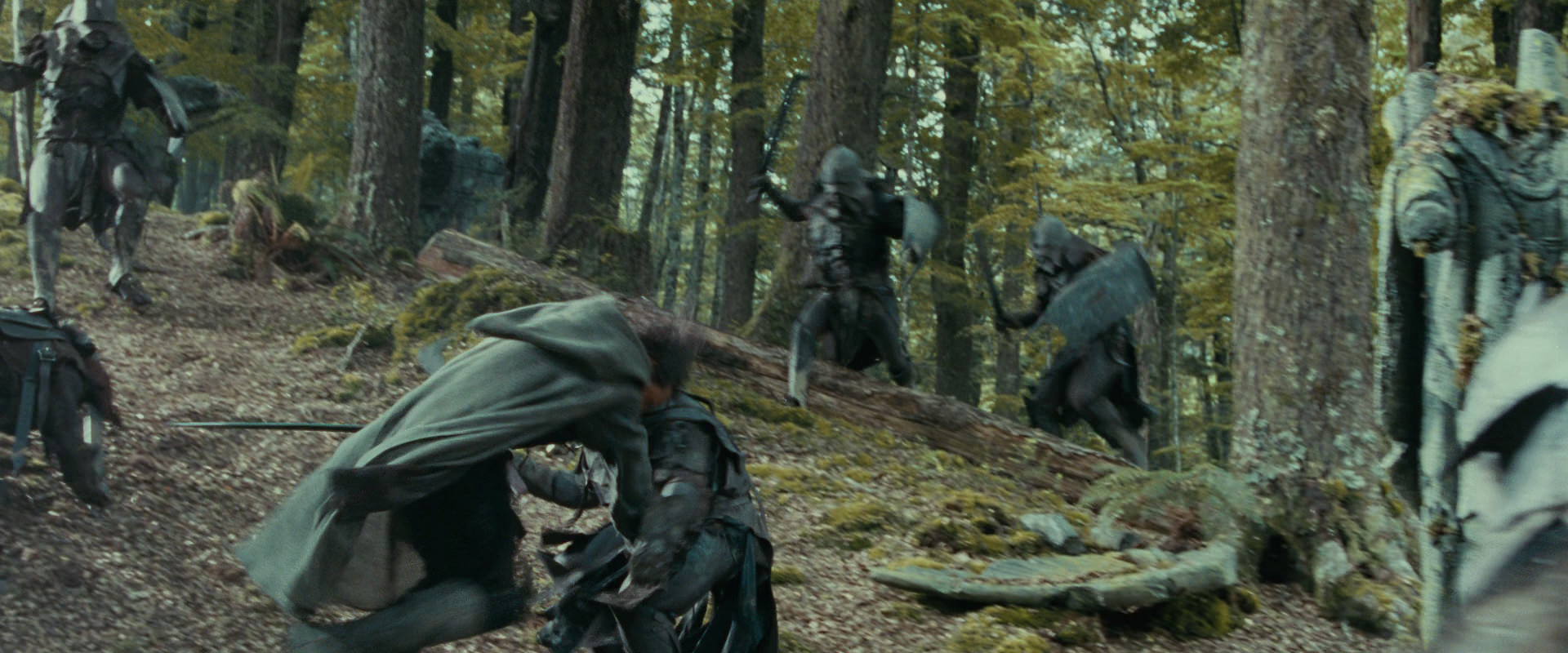 The Lord of the Rings: The Fellowship of the Ring (2001) screencap 22284