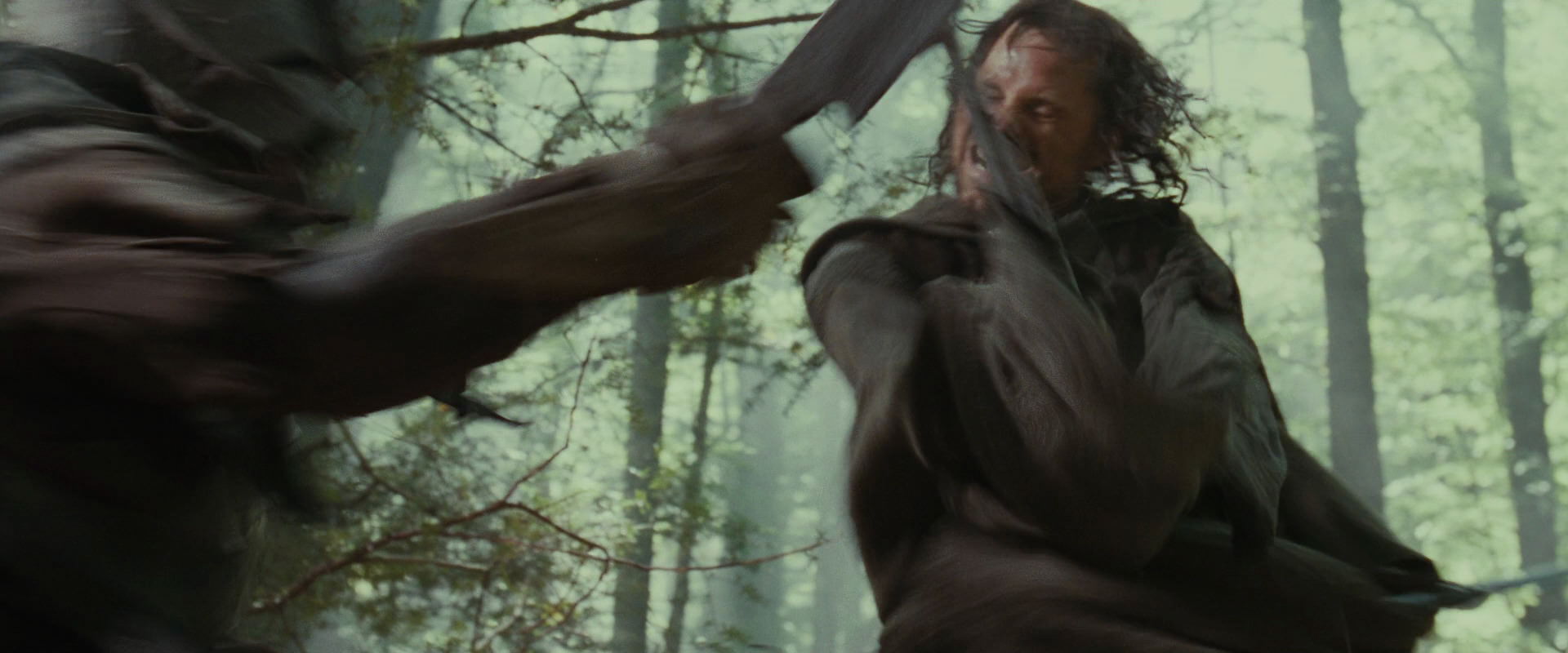 The Lord of the Rings: The Fellowship of the Ring (2001) screencap 22287