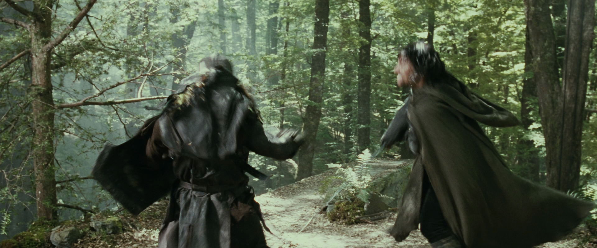 The Lord of the Rings: The Fellowship of the Ring (2001) HD screenshot 22289