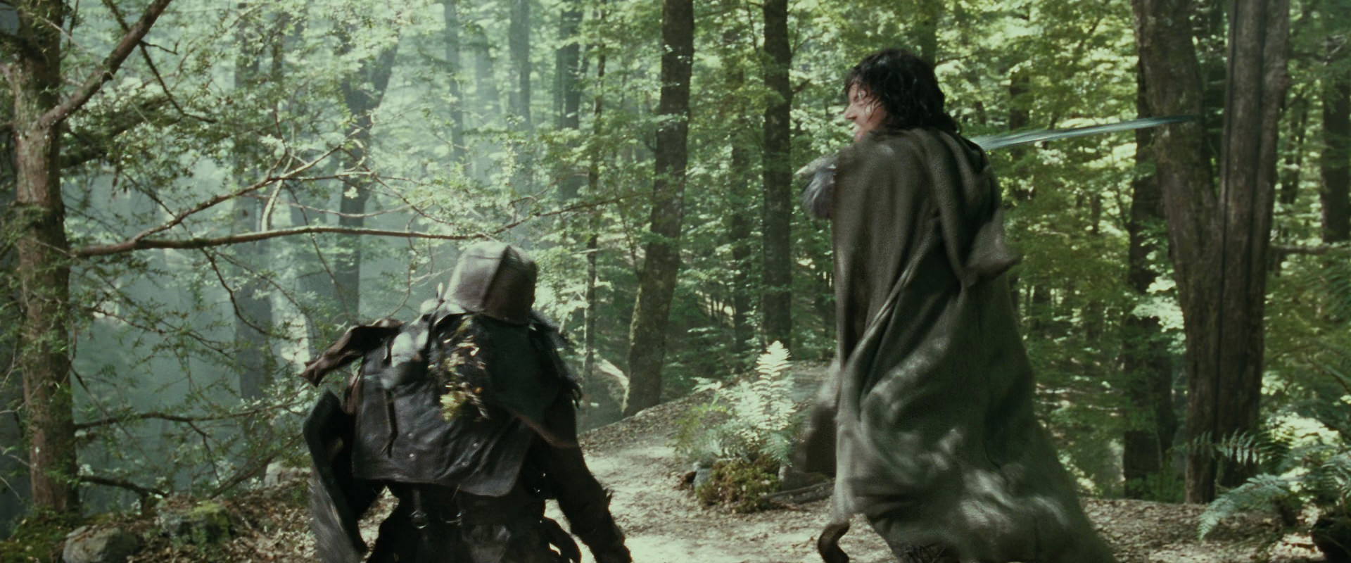 The Lord of the Rings: The Fellowship of the Ring (2001) screencap 22290