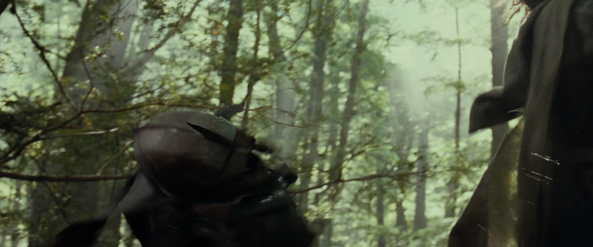 The Lord of the Rings: The Fellowship of the Ring (2001) HD screenshot 22292