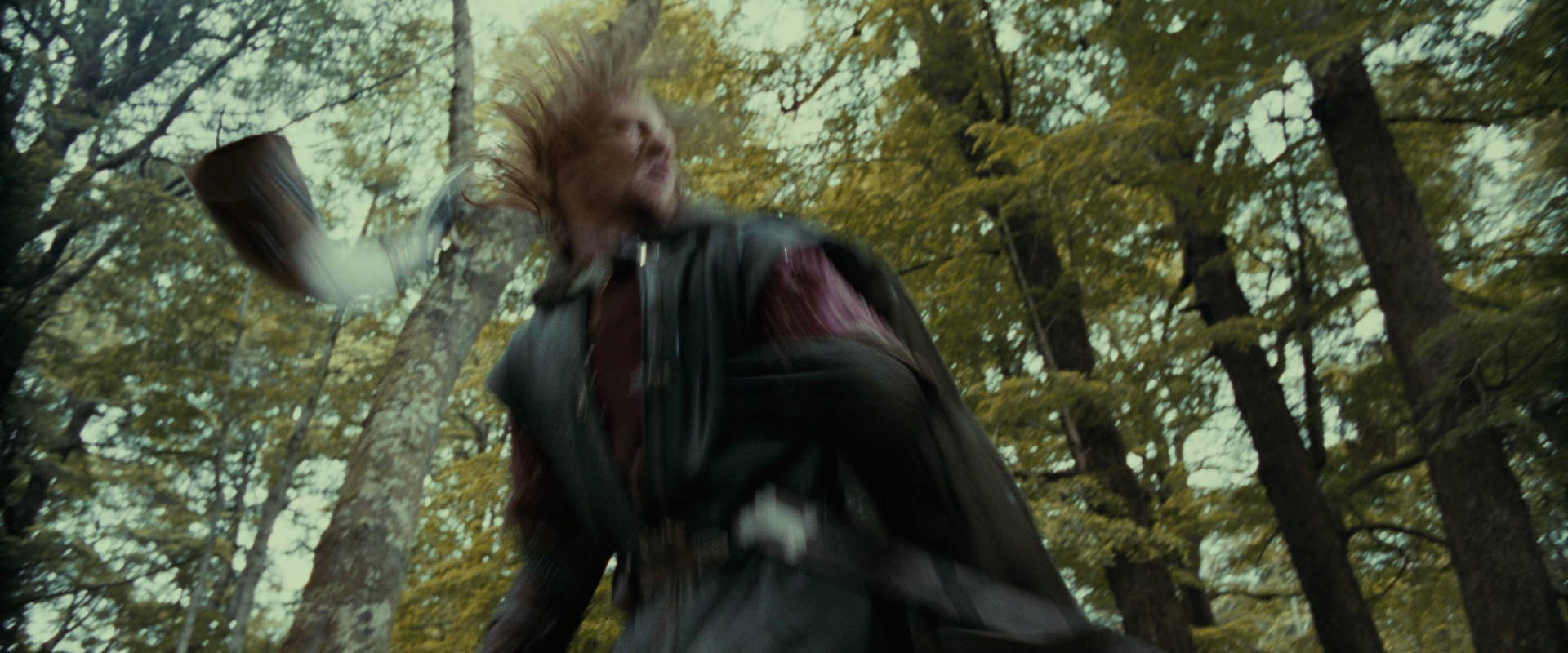 The Lord of the Rings: The Fellowship of the Ring (2001) screencap 22293