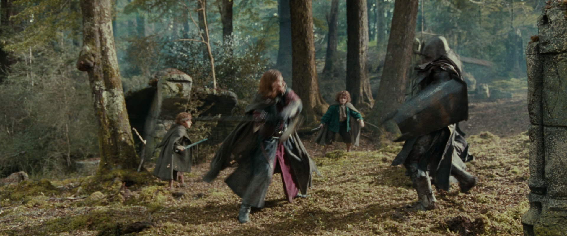 The Lord of the Rings: The Fellowship of the Ring (2001) movie still 22294
