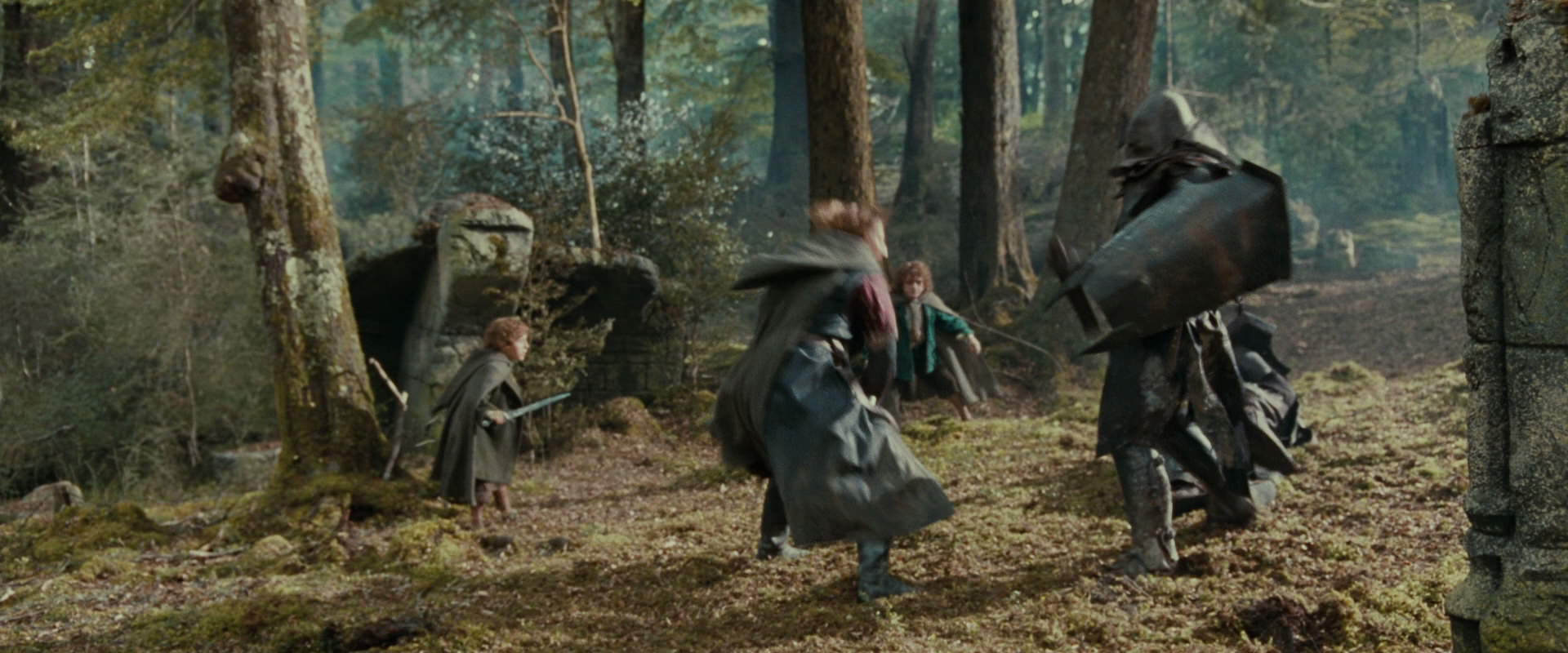 The Lord of the Rings: The Fellowship of the Ring (2001) HD screenshot 22295