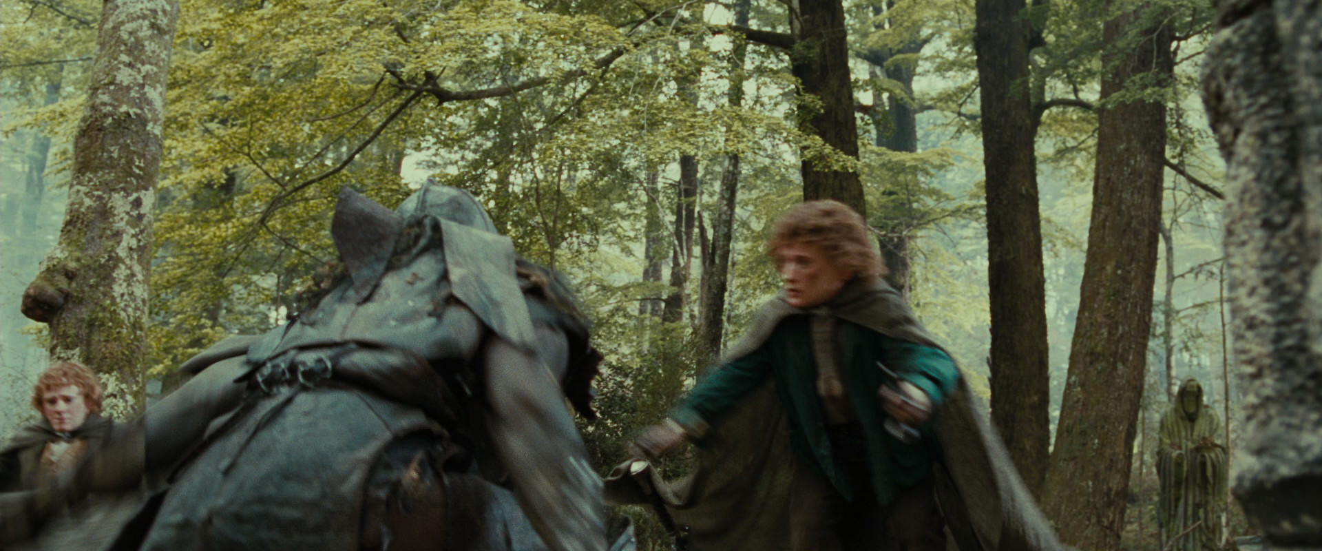 The Lord of the Rings: The Fellowship of the Ring (2001) screencap 22299