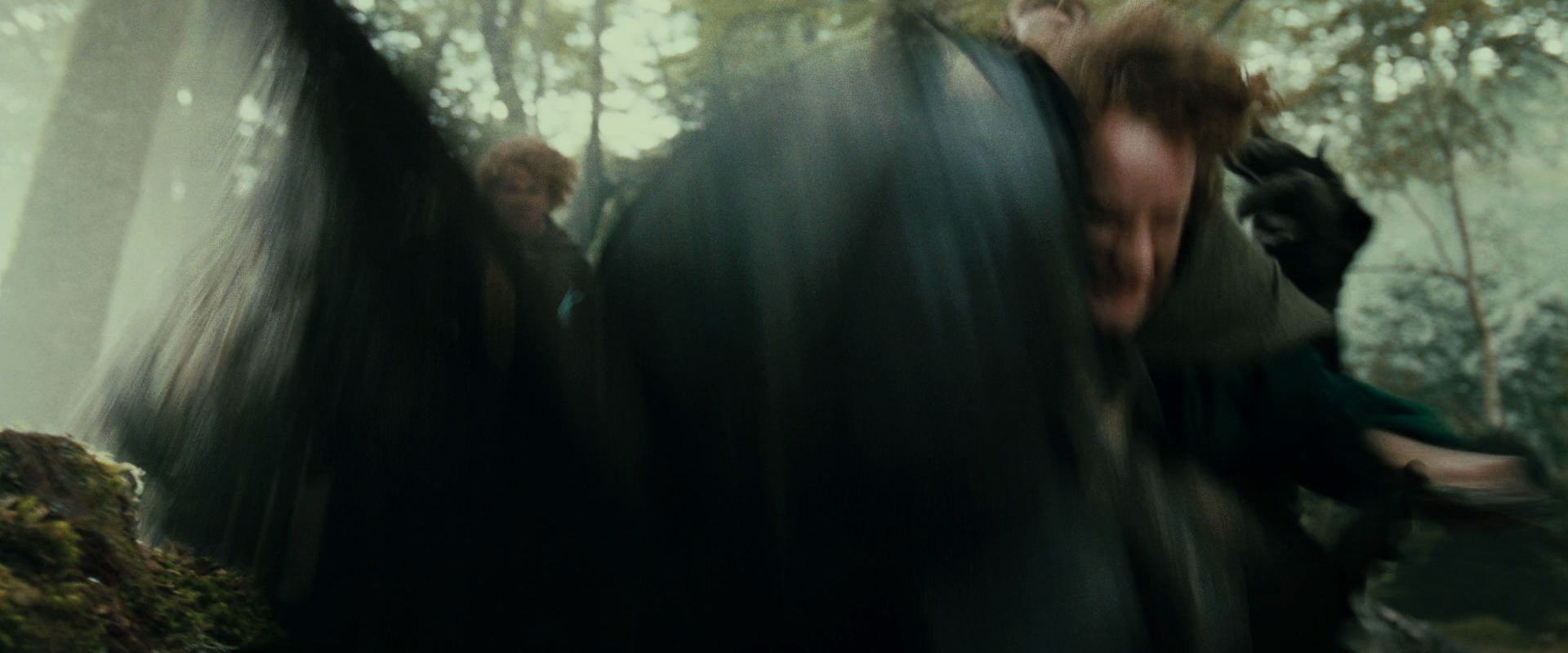 The Lord of the Rings: The Fellowship of the Ring (2001) HD screenshot 22301