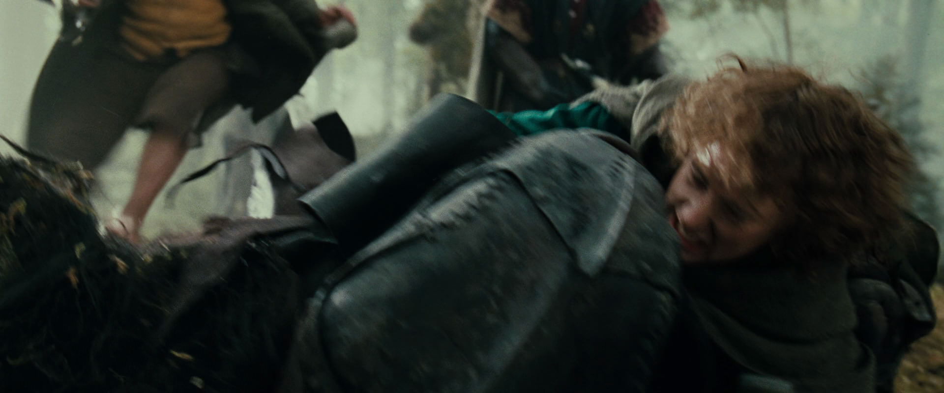The Lord of the Rings: The Fellowship of the Ring (2001) screencap 22302